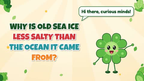 Why Is Old Sea Ice Less Salty than the Ocean It Came From?