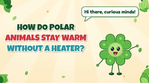 How Do Polar Animals Stay Warm Without a Heater?