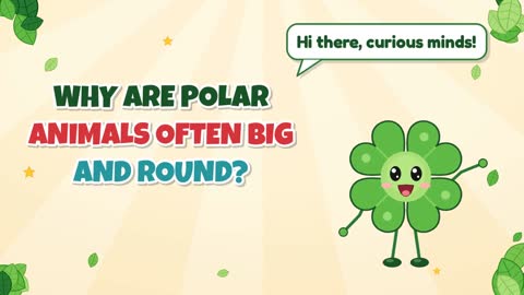 Why Are Polar Animals Often Big and Round?