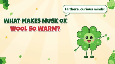 What Makes Musk Ox Wool So Warm?