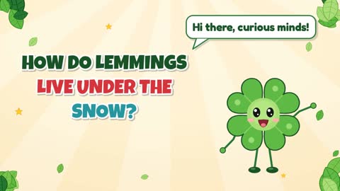 How Do Lemmings Live Under the Snow?