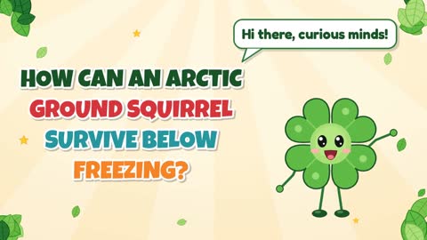 How Can an Arctic Ground Squirrel Survive Below Freezing?
