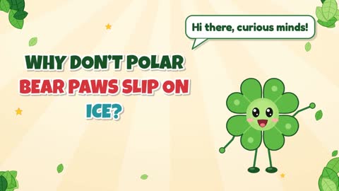 Why Don’t Polar Bear Paws Slip on Ice?