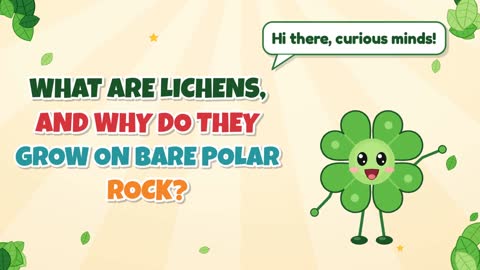 What Are Lichens, and Why Do They Grow on Bare Polar Rock?