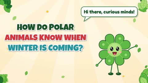 How Do Polar Animals Know When Winter Is Coming?