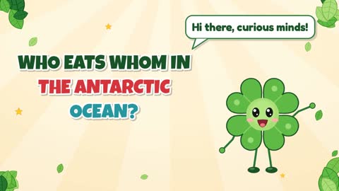 Who Eats Whom in the Antarctic Ocean?