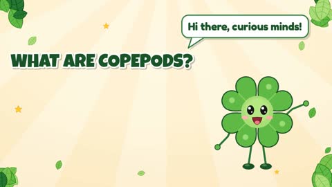What Are Copepods?