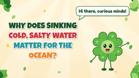 Why Does Sinking Cold, Salty Water Matter for the Ocean?
