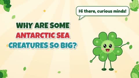 Why Are Some Antarctic Sea Creatures So Big?