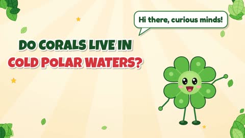 Do Corals Live in Cold Polar Waters?