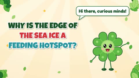 Why Is the Edge of the Sea Ice a Feeding Hotspot?