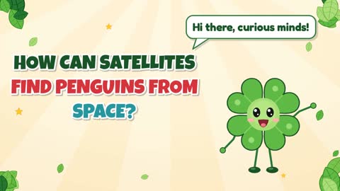 How Can Satellites Find Penguins From Space?