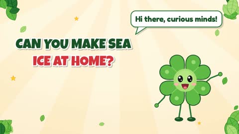 Can You Make Sea Ice at Home?