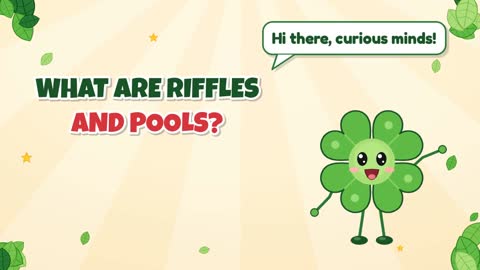 What Are Riffles and Pools?
