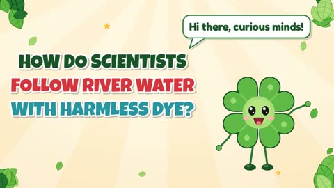 How Do Scientists Follow River Water with Harmless Dye?