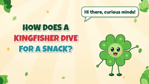 How Does a Kingfisher Dive for a Snack?