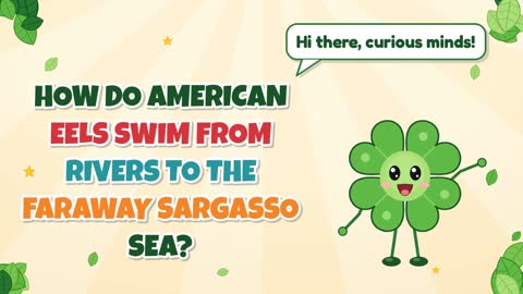 How Do American Eels Swim From Rivers to the Faraway Sargasso Sea?