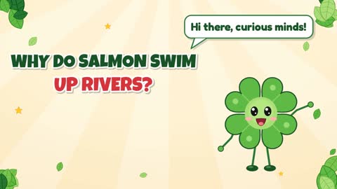 Why Do Salmon Swim Up Rivers?