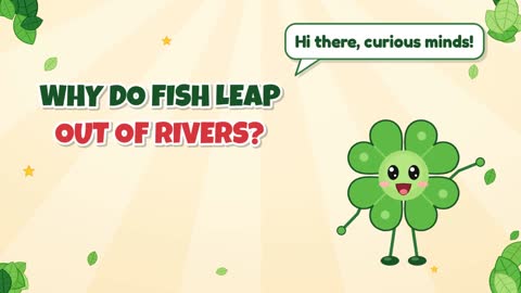 Why Do Fish Leap Out of Rivers?