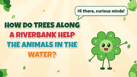 How Do Trees Along a Riverbank Help the Animals in the Water?