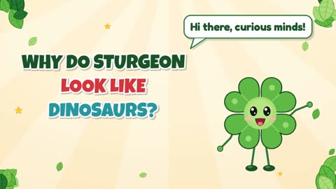 Why Do Sturgeon Look Like Dinosaurs?