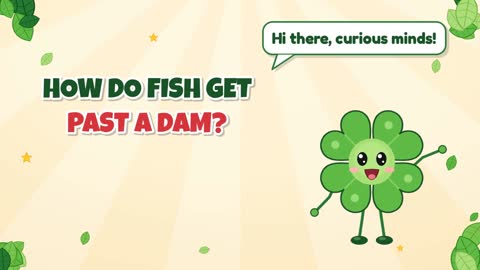 How Do Fish Get Past a Dam?