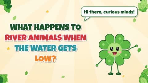 What Happens to River Animals When the Water Gets Low?