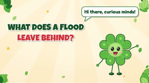 What Does a Flood Leave Behind?