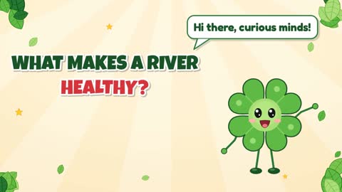 What Makes a River Healthy?