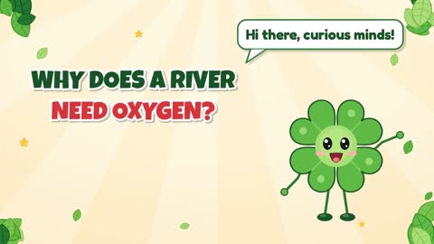 Why Does a River Need Oxygen?