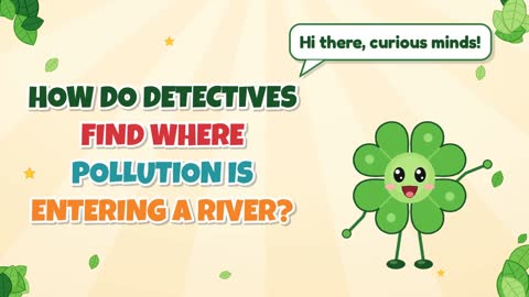 How Do Detectives Find Where Pollution Is Entering a River?
