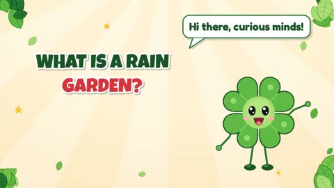 What Is a Rain Garden?