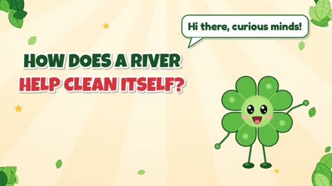 How Does a River Help Clean Itself?