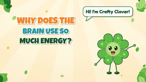 Why Does the Brain Use So Much Energy?
