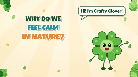 Why Do We Feel Calm in Nature?