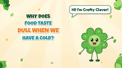 Why Does Food Taste Dull When We Have a Cold?