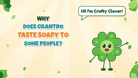 Why Does Cilantro Taste Soapy to Some People?