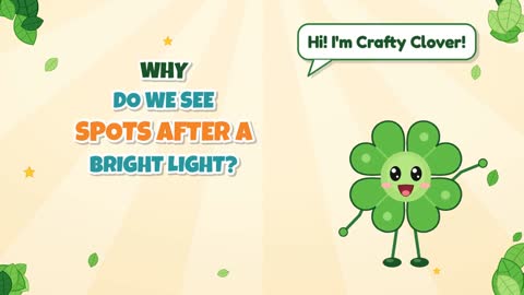 Why Do We See Spots After a Bright Light?