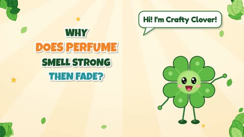 Why Does Perfume Smell Strong Then Fade?