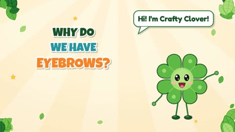 Why Do We Have Eyebrows?