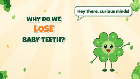 Why Do We Lose Baby Teeth?