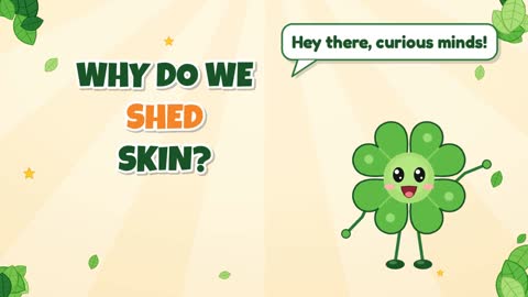 Why Do We Shed Skin?