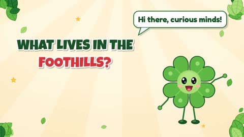 What Lives in the Foothills?