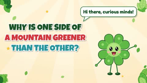Why Is One Side of a Mountain Greener than the Other?