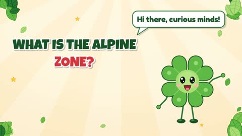 What Is the Alpine Zone?