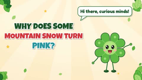 Why Does Some Mountain Snow Turn Pink?