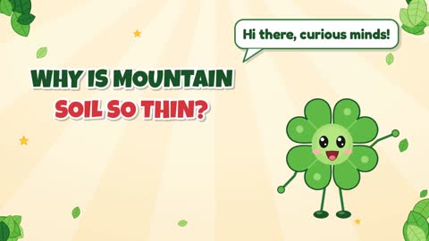 Why Is Mountain Soil So Thin?