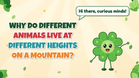 Why Do Different Animals Live at Different Heights on a Mountain?
