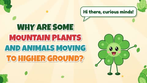 Why Are Some Mountain Plants and Animals Moving to Higher Ground?
