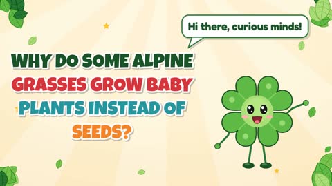 Why Do Some Alpine Grasses Grow Baby Plants Instead of Seeds?
